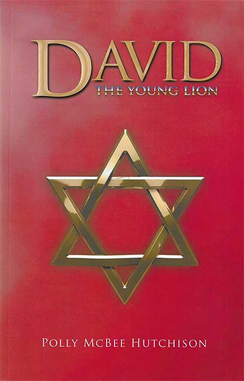 David: The Young Lion | By Polly McBee Hutchison