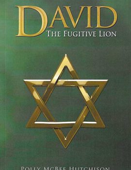 David: The Fugutive Lion | By Polly McBee Hutchison